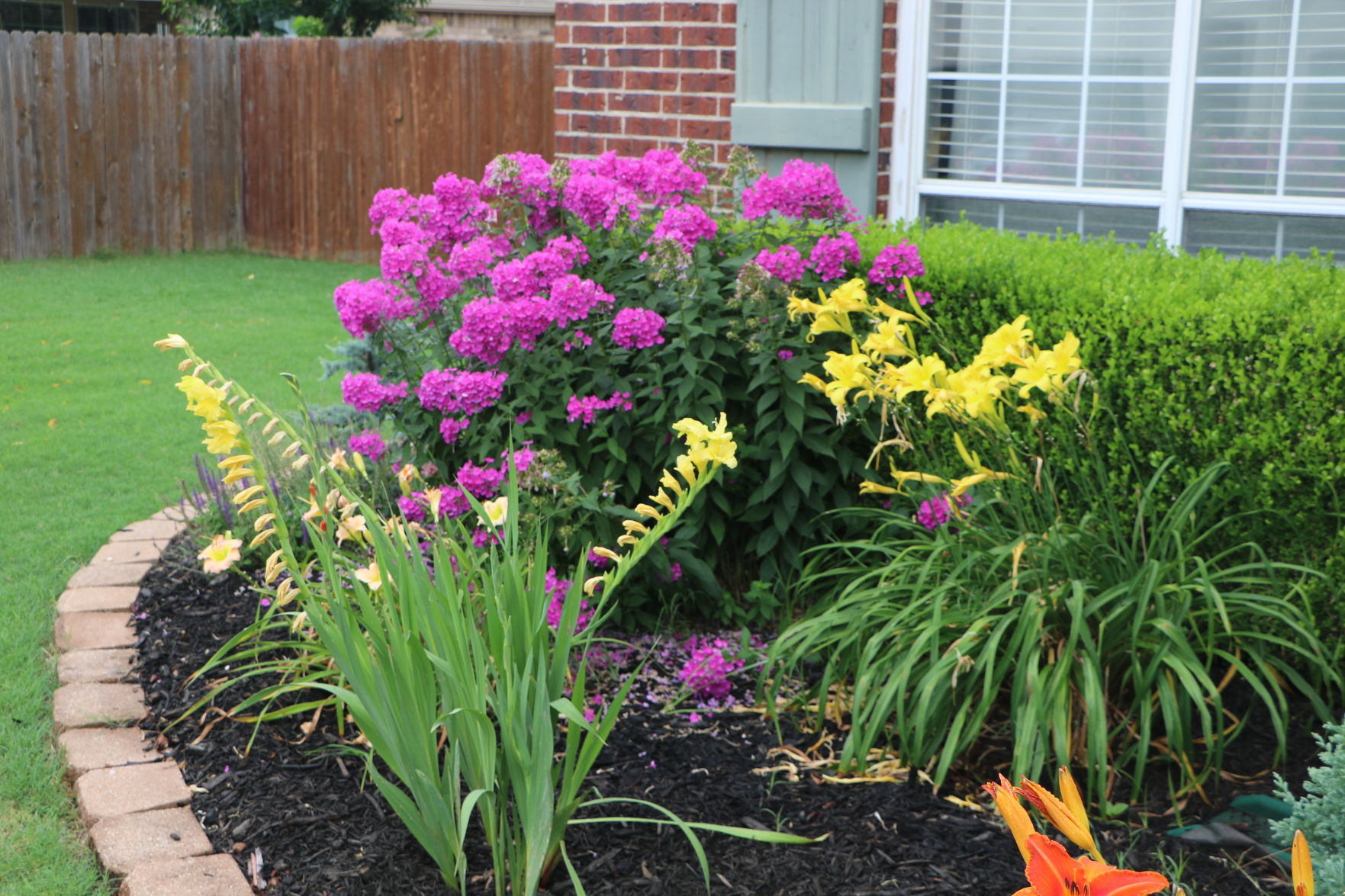 July Yard of the Month
